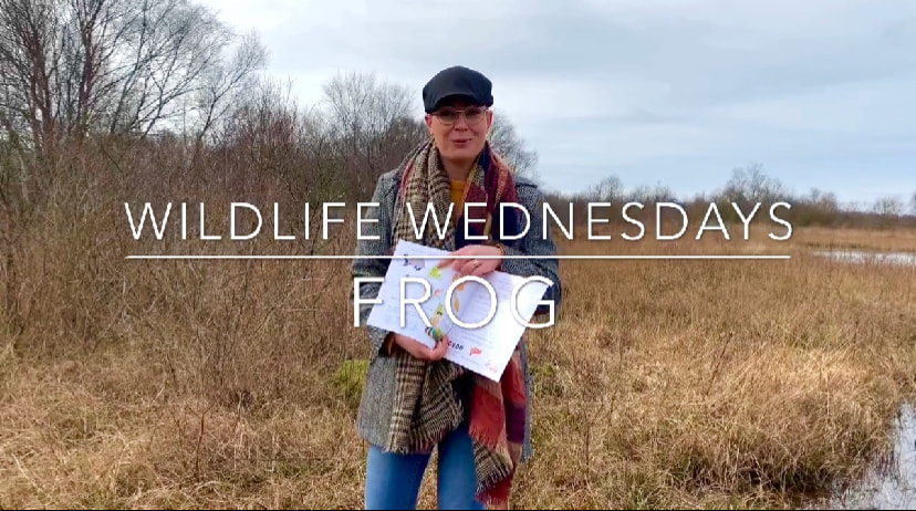 The Common Frog – Johnny Magory World Wildlife Wednesdays