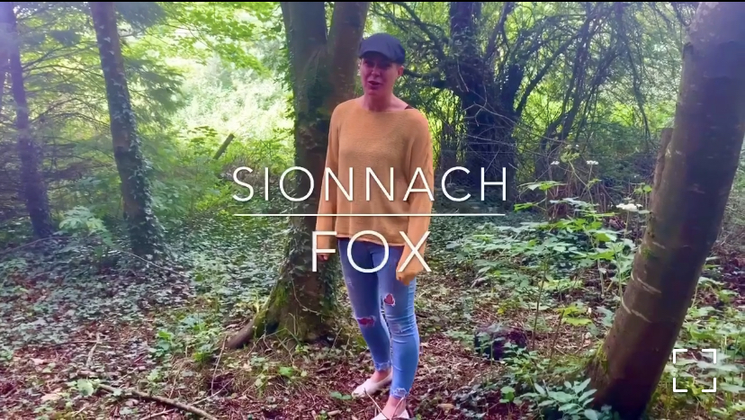 The Fox – Sionnach Madra Rua