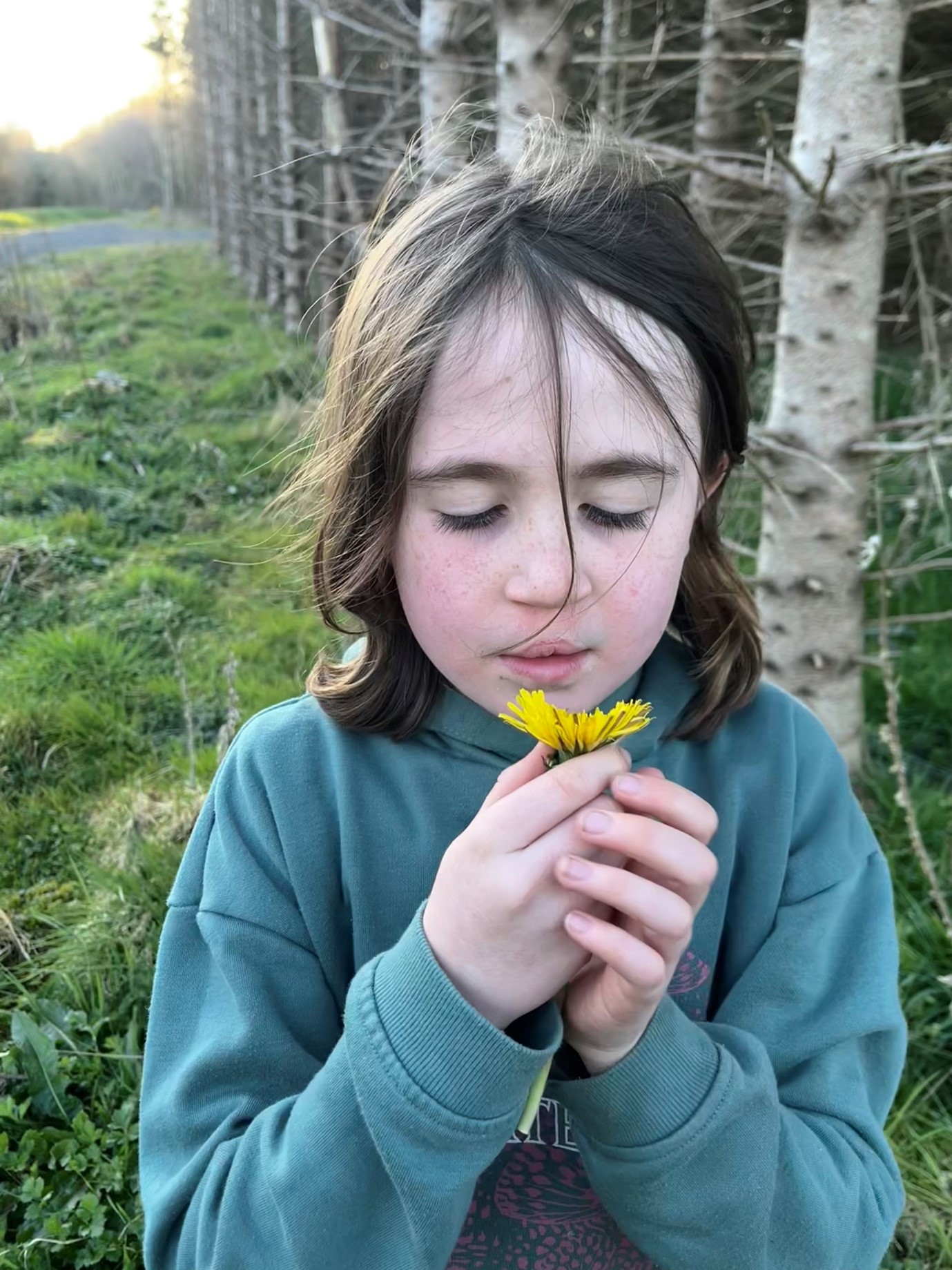 Dandelion Foraging Child Ireland Layla