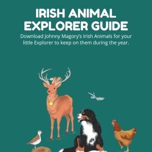 Irish Animal Explorer Guide
