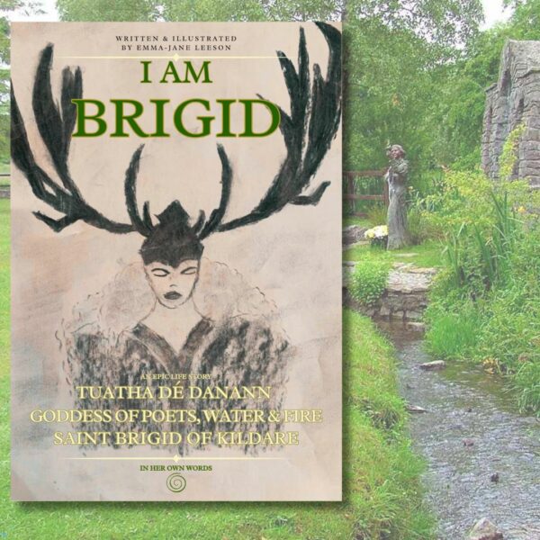 I am brigid book